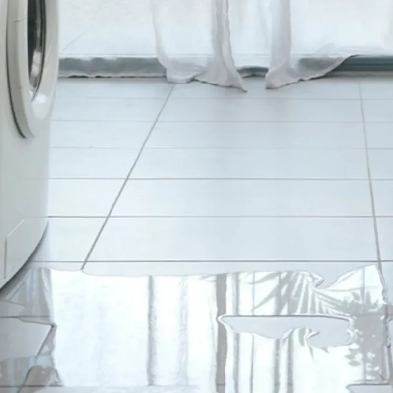 Appliance Leak Cleanup in Dania Beach, FL
